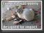 Click to zoom the image